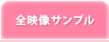 全映像サンプル