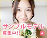 サンプルモデル募集中